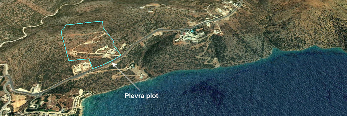 Plevra Plot