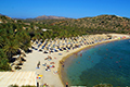 Crete - Vai Beach and Palm Forest